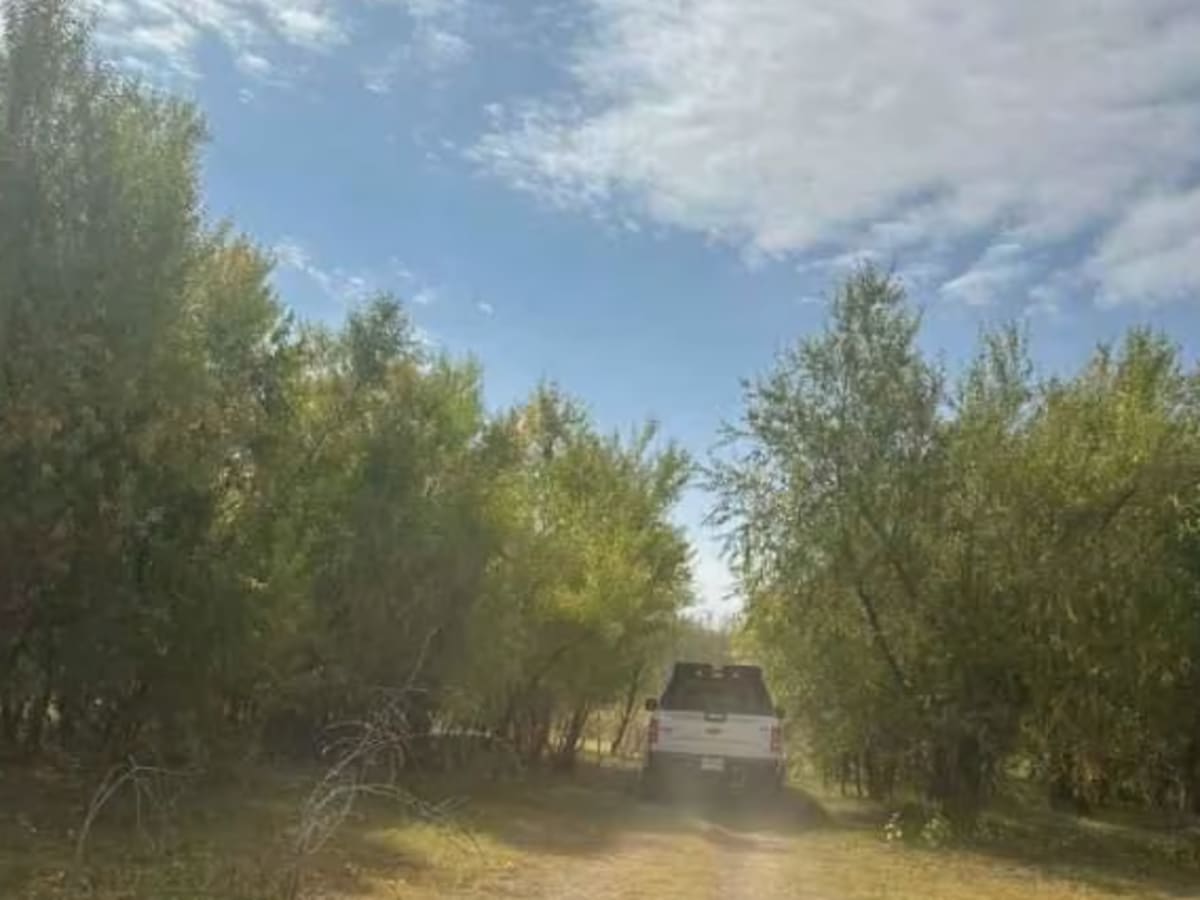 Rio Grande Trail photo 4