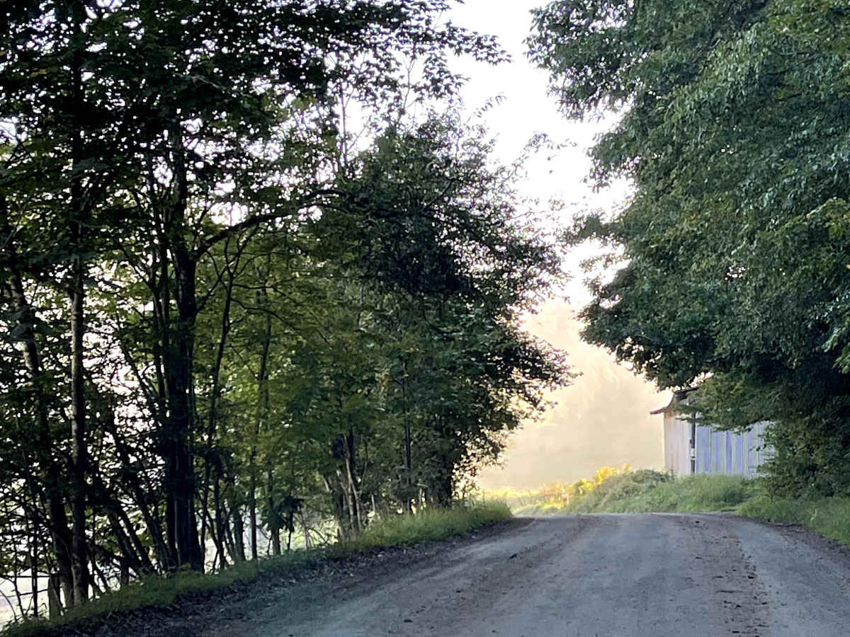 Roby Green Road trail photo