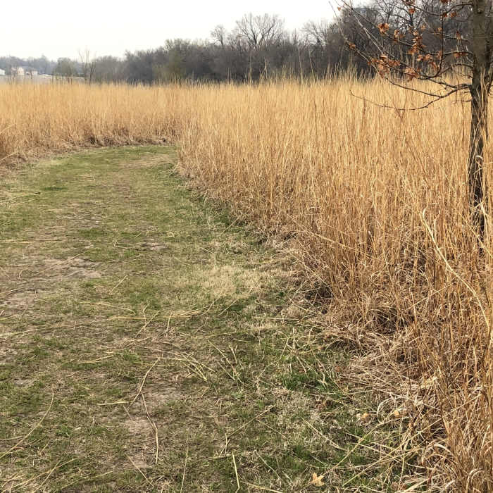 Near Trail of Two Cities