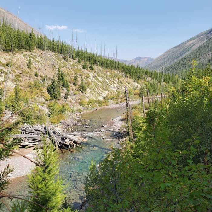 One of many "log jams" along the North Fork River. Near North Fork Blackfoot Falls There and Back