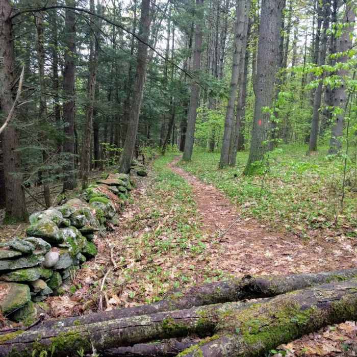 Classic New England trail. Near Robert Frost Trail