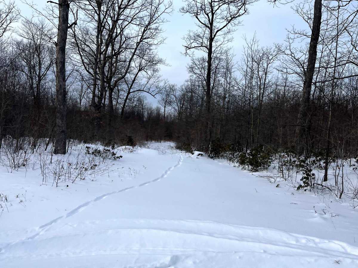 Nason Road photo 4