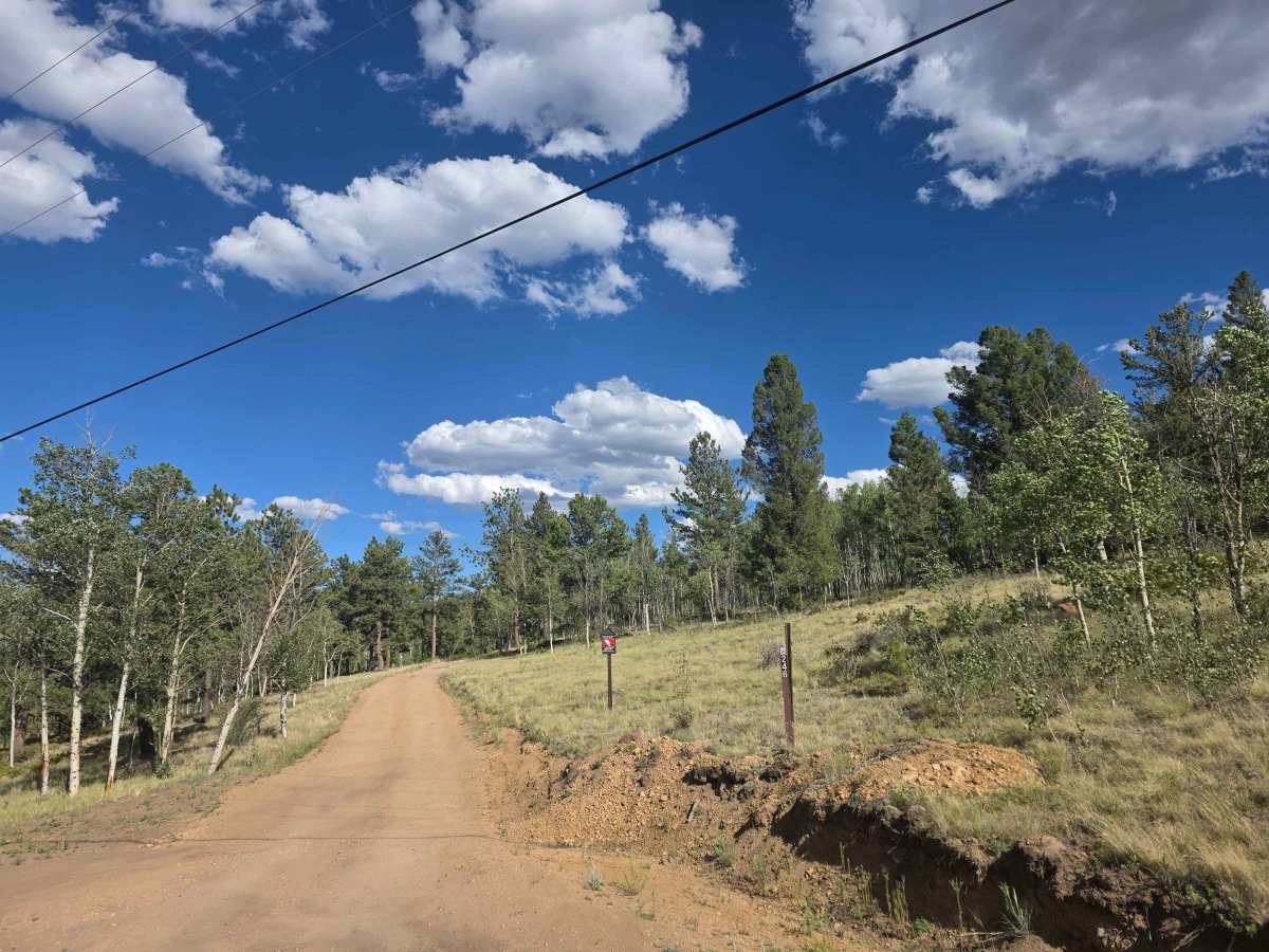 Springer Gulch Road - FS 246 photo 2