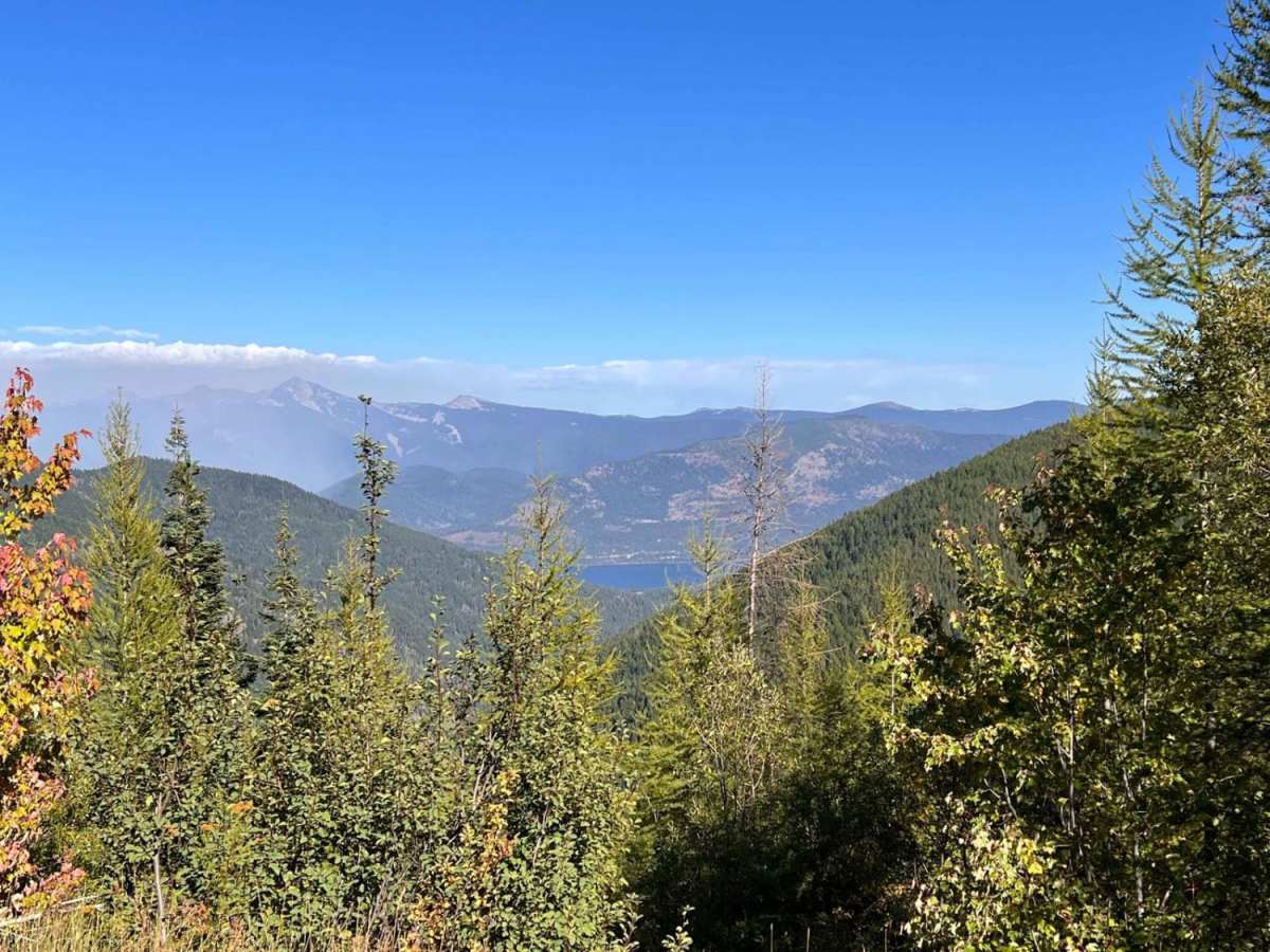 Stevens Ridge trail photo
