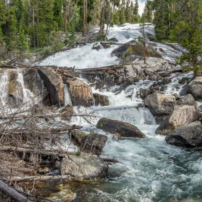 Near Crazy Creek Falls
