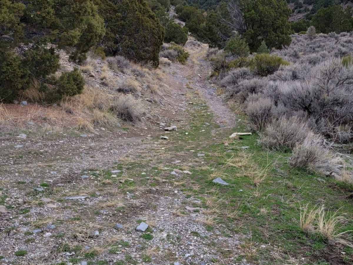 Dip Gulch Road photo 3