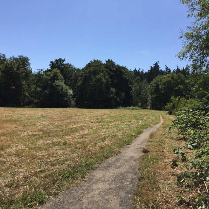 Near Blakely Cemetery Trail
