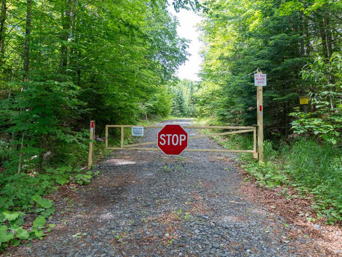 Woody's Road photo 5