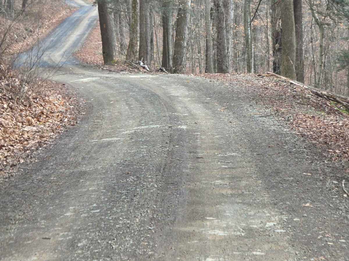 Observatory Road photo 4