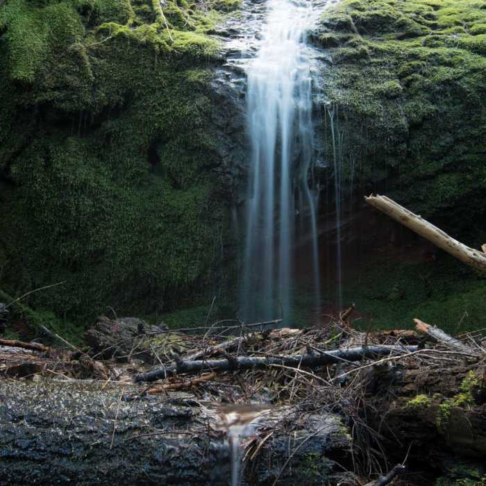 Near Cloverpatch Trail Hike