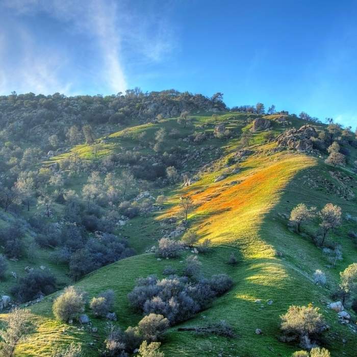 Near Mill Creek Trail Out-and-Back