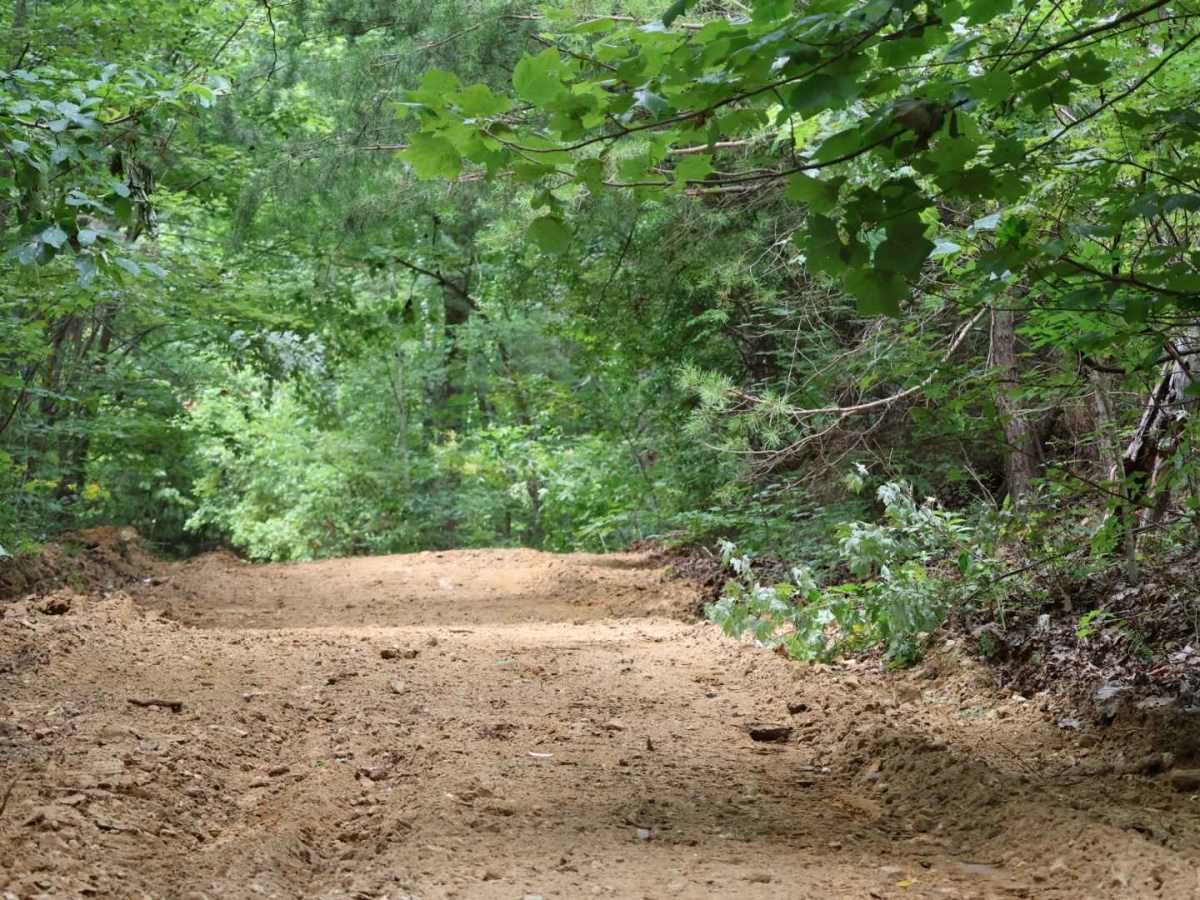 Inman Point Road trail photo