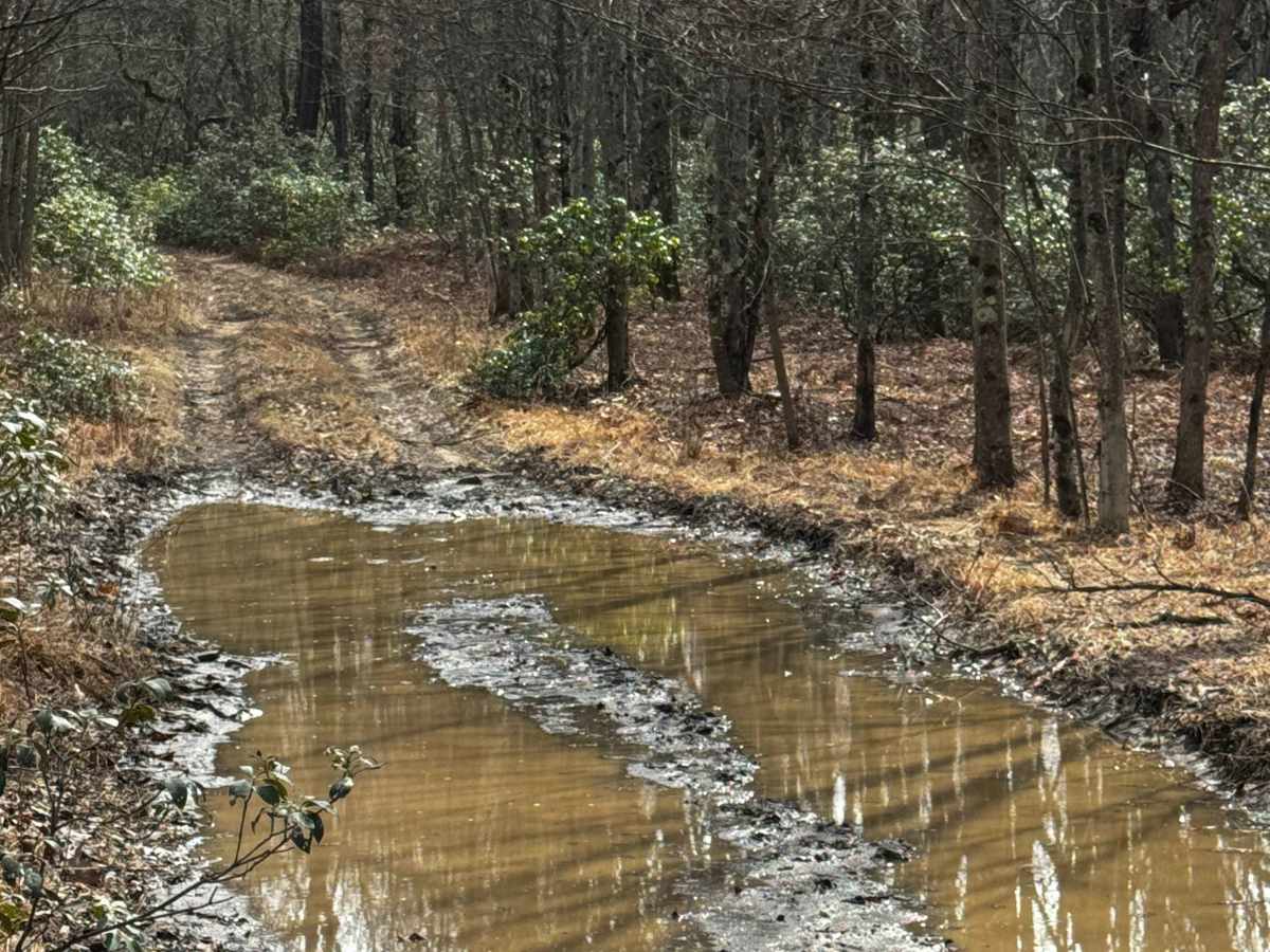 East Branch Road photo 5