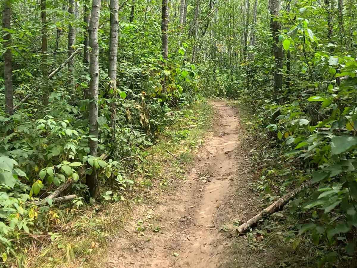 Chelsey Brook Trail photo 4