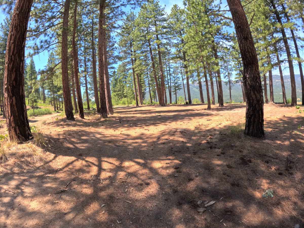 Verdi Ridge Loop Road - FS 31074 photo 3