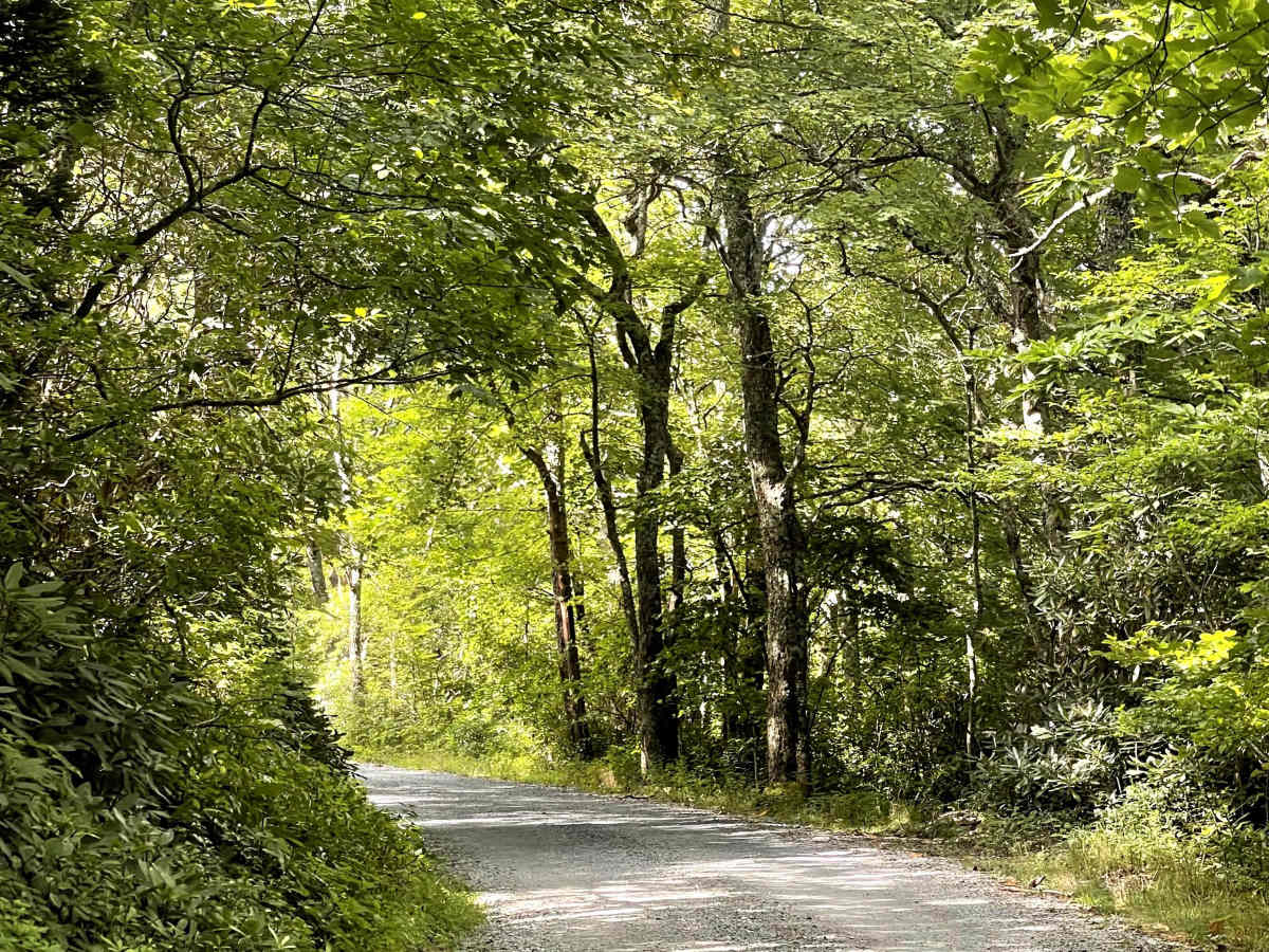 Carroll Gragg Road photo 2