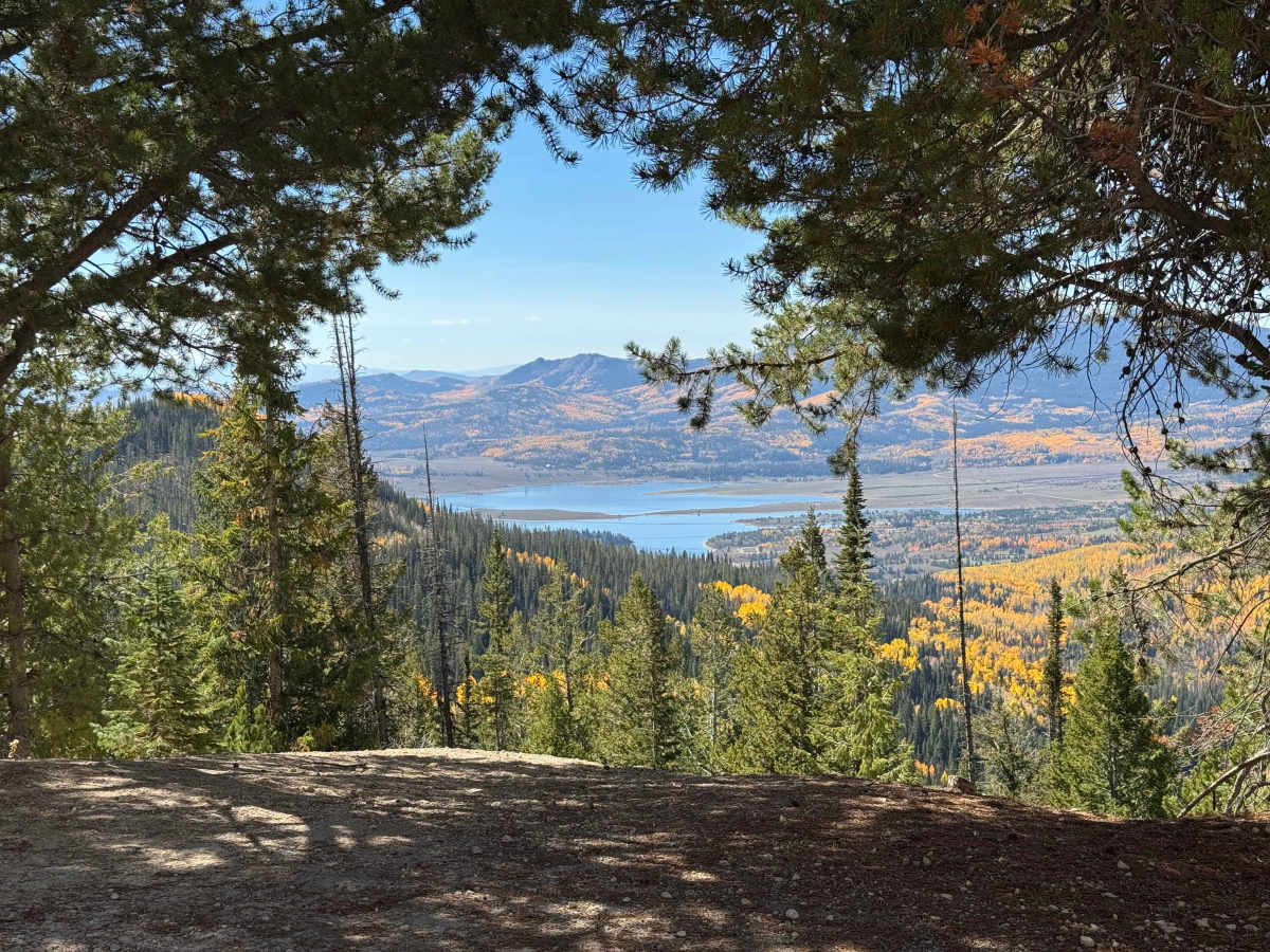 Royal Flush Road trail photo