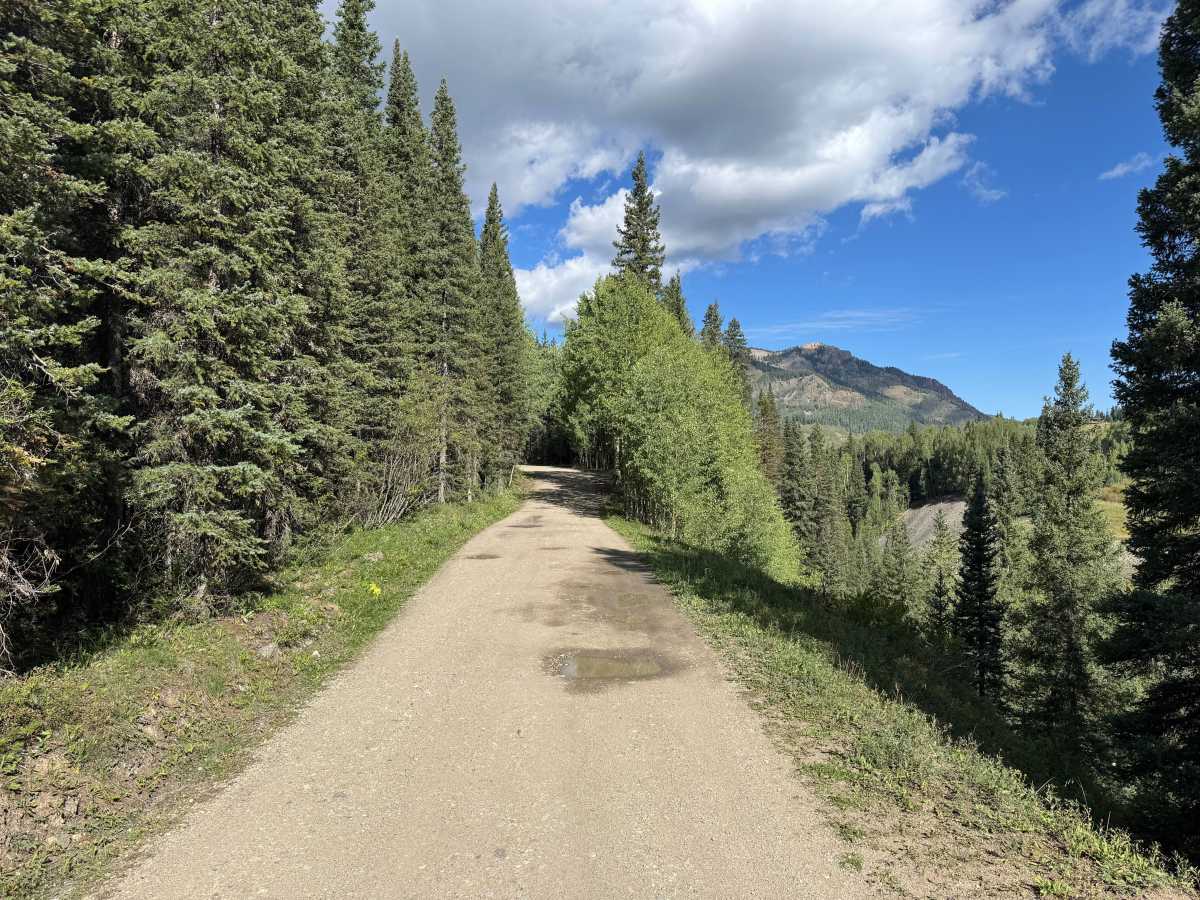 Trestle Road photo 3