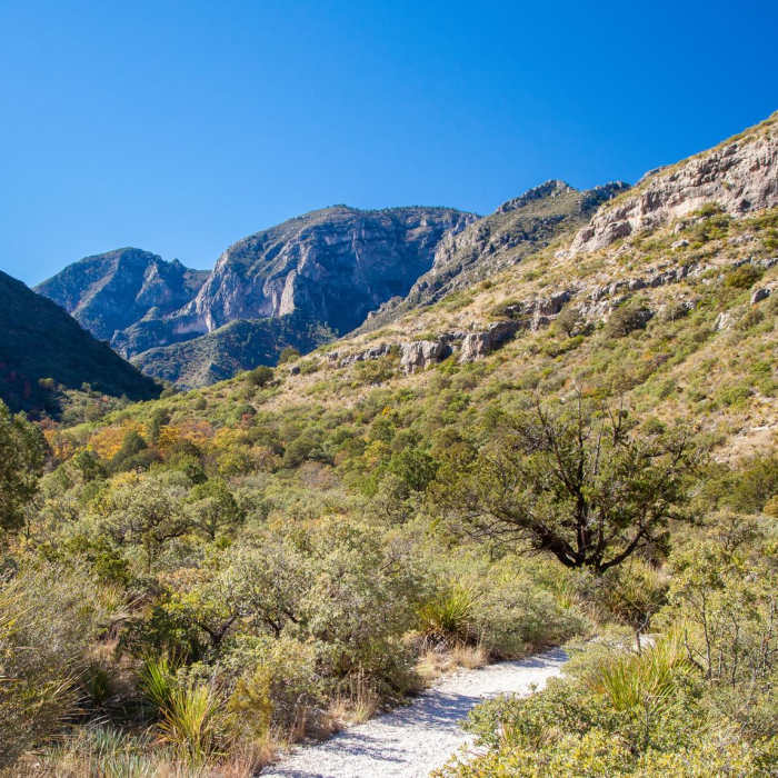 Near The Notch Out-and-Back Near The Notch Out-and-Back