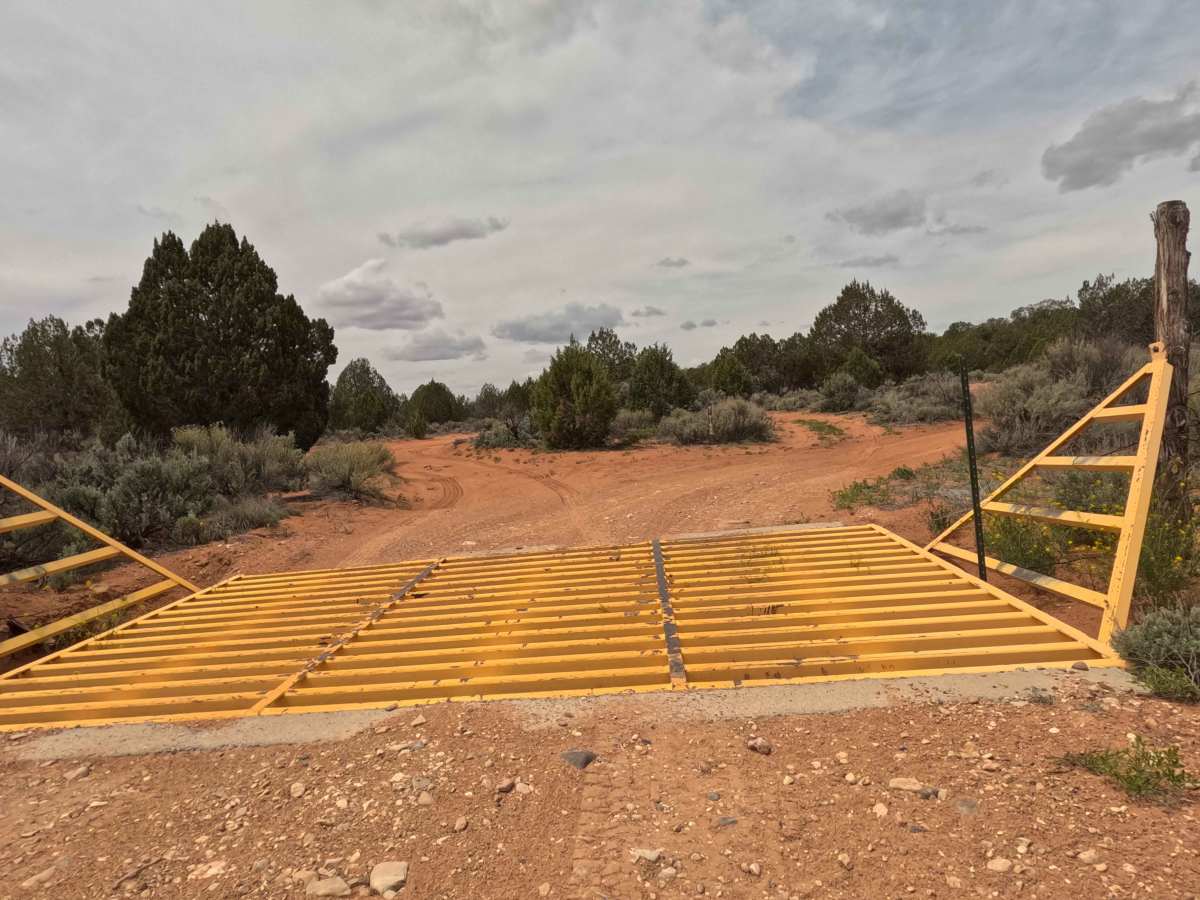 BLM 61 photo 4