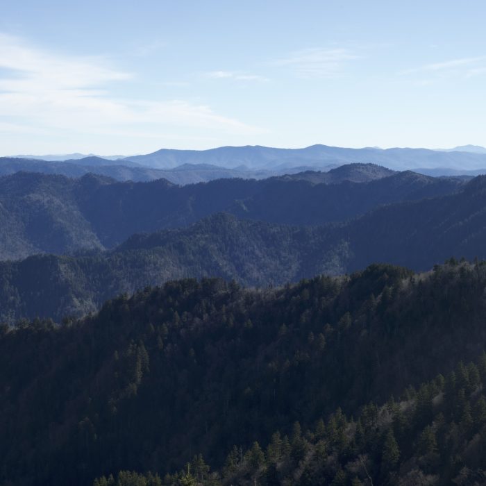 Near Boulevard Trail