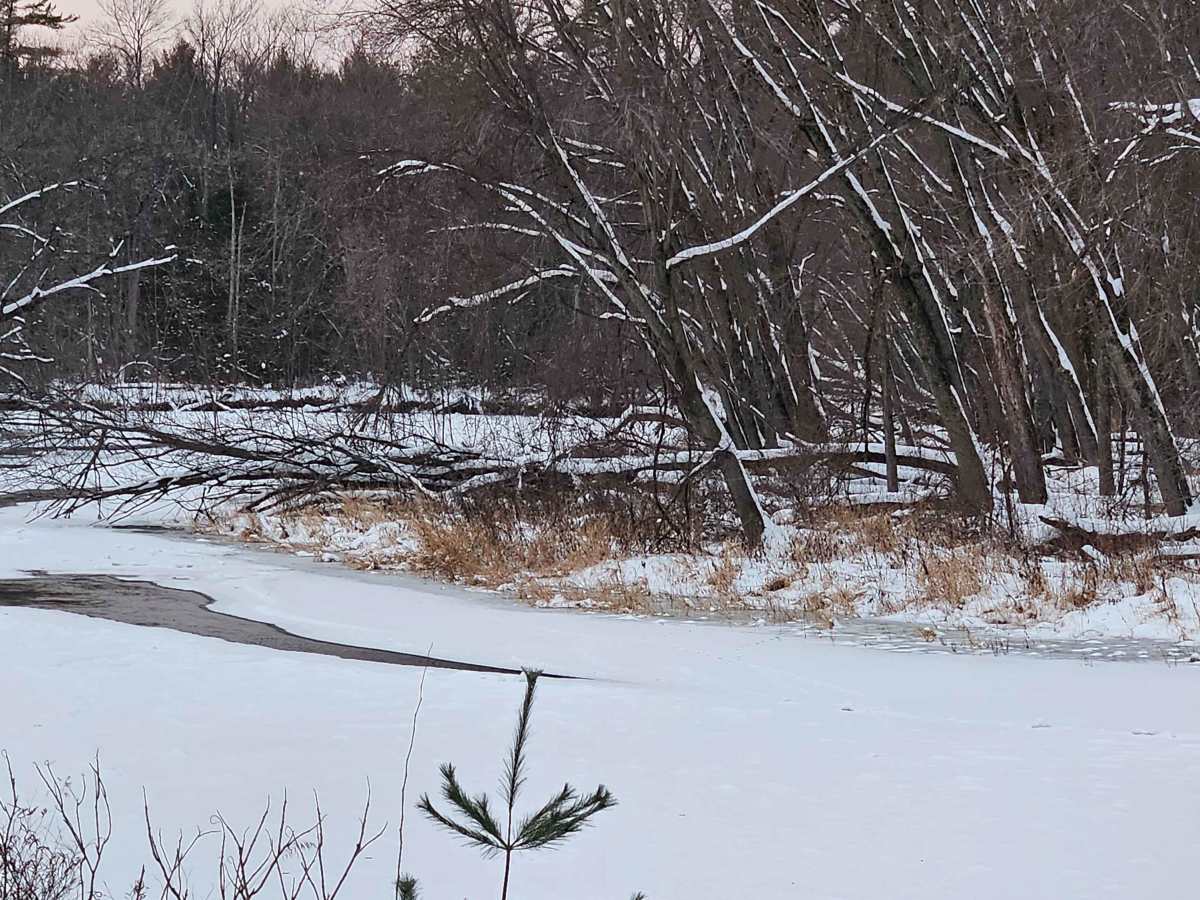 Thornapple Trail photo 4