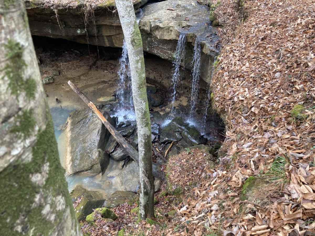 Bankhead Roads photo 6