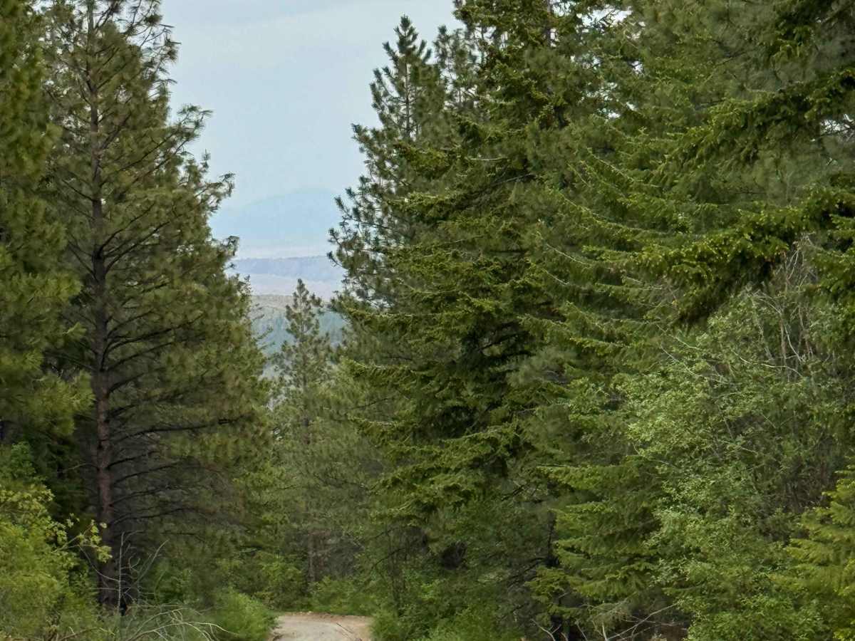 Black Canyon Road - FS 4010 photo 6