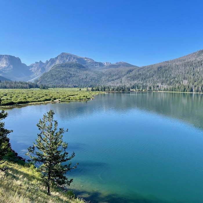 Near Squaretop Mountain Viewpoint