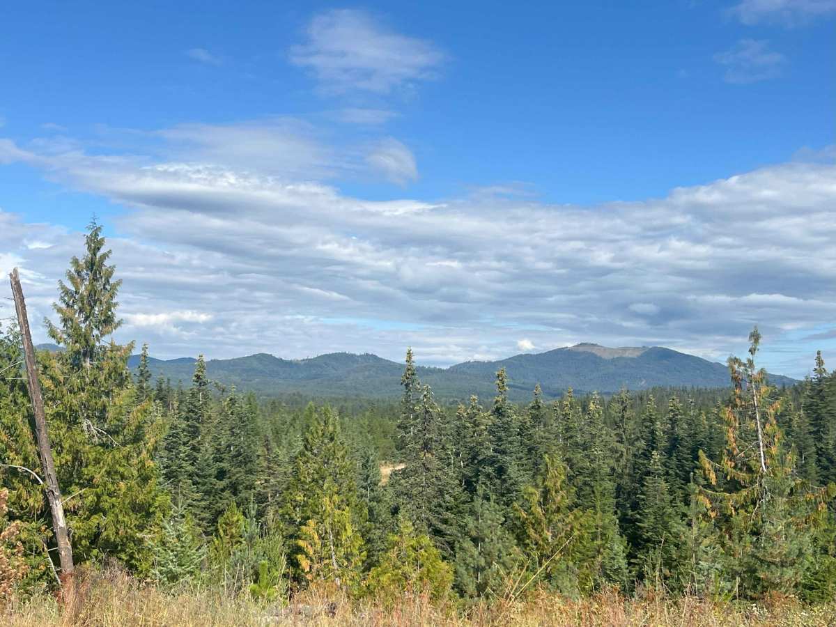 Moose Creek Upper Road Track photo 6