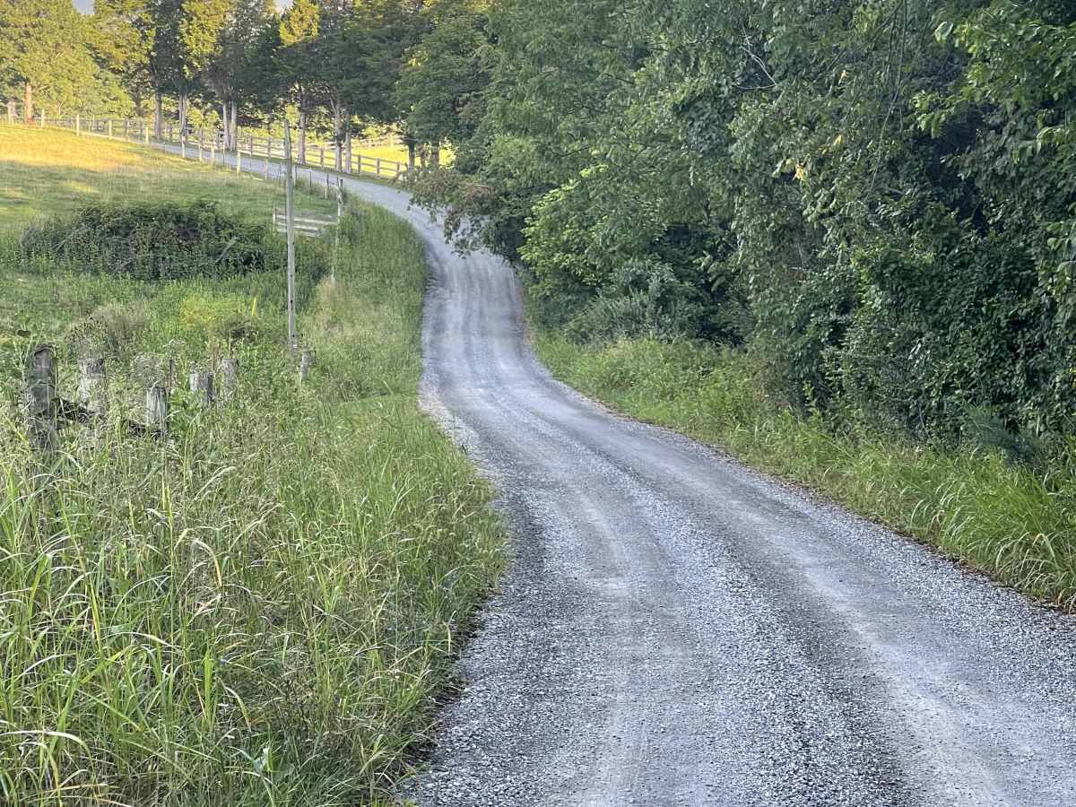 Steven's Road photo 4
