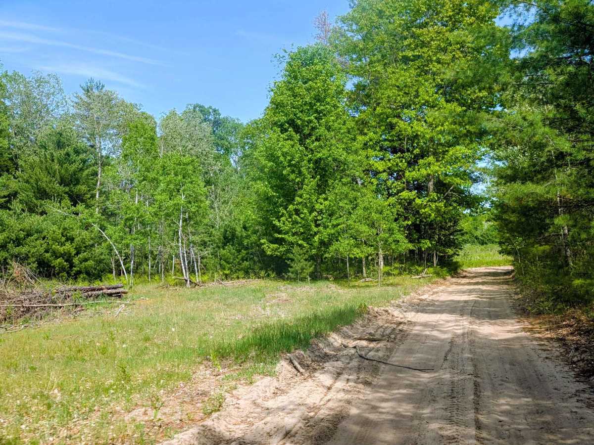 Spoelma Road photo 5