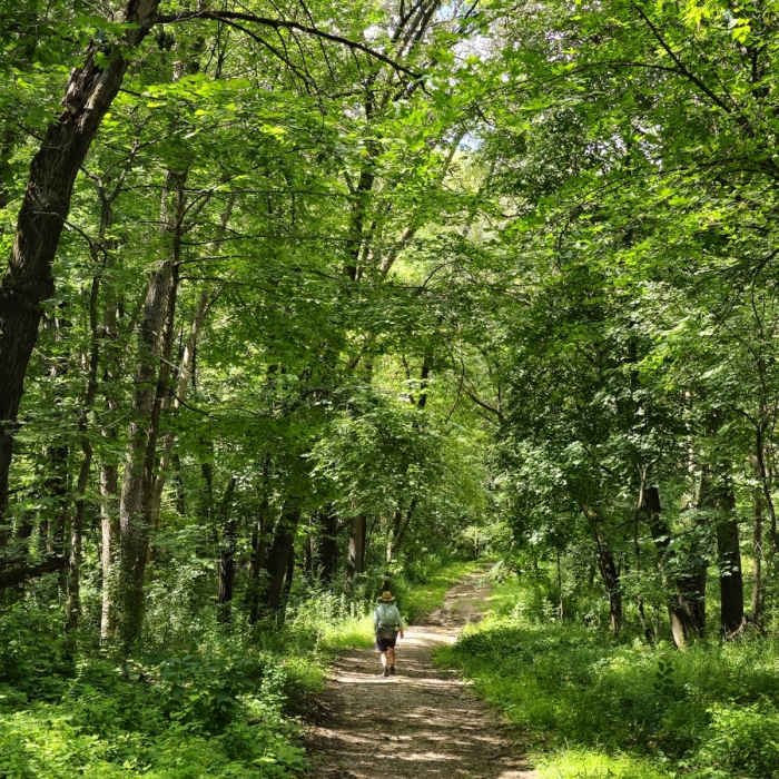 On the trail toward Intersection 14. Near Murphy Lake Loop