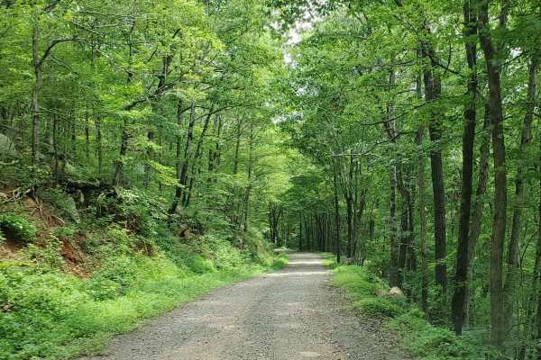 Prison Fence Trail