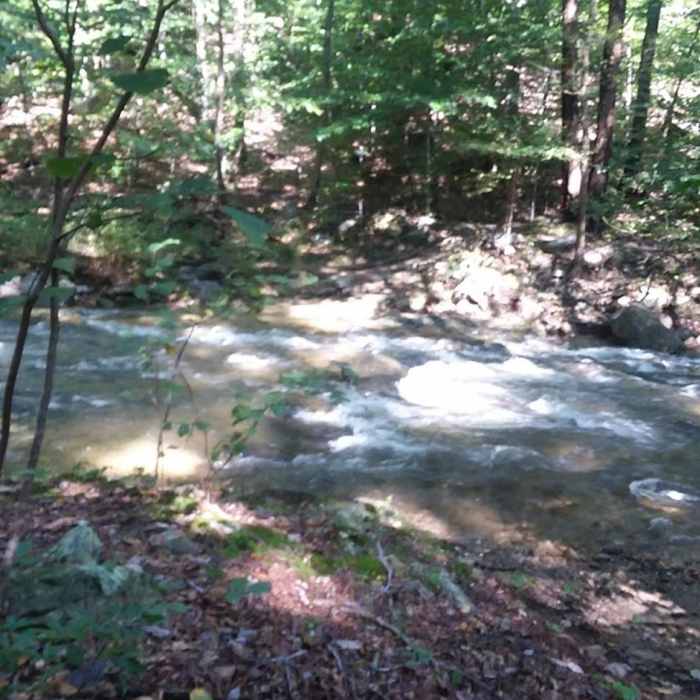 Near Catoctin National Scenic Trail