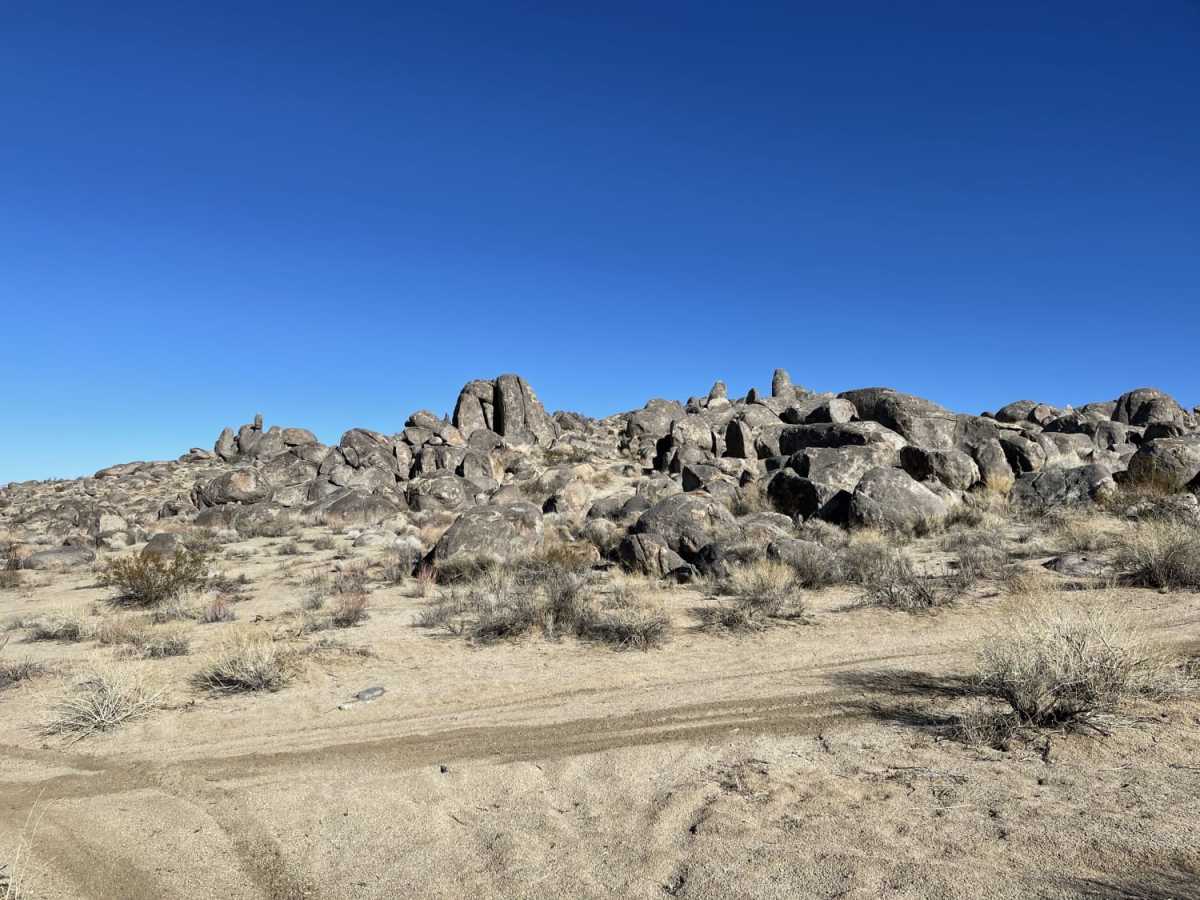 Viejo Road photo 2