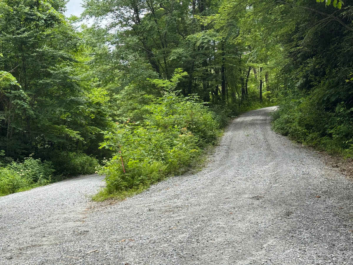 Cold Springs Gap - FS 421A photo 3