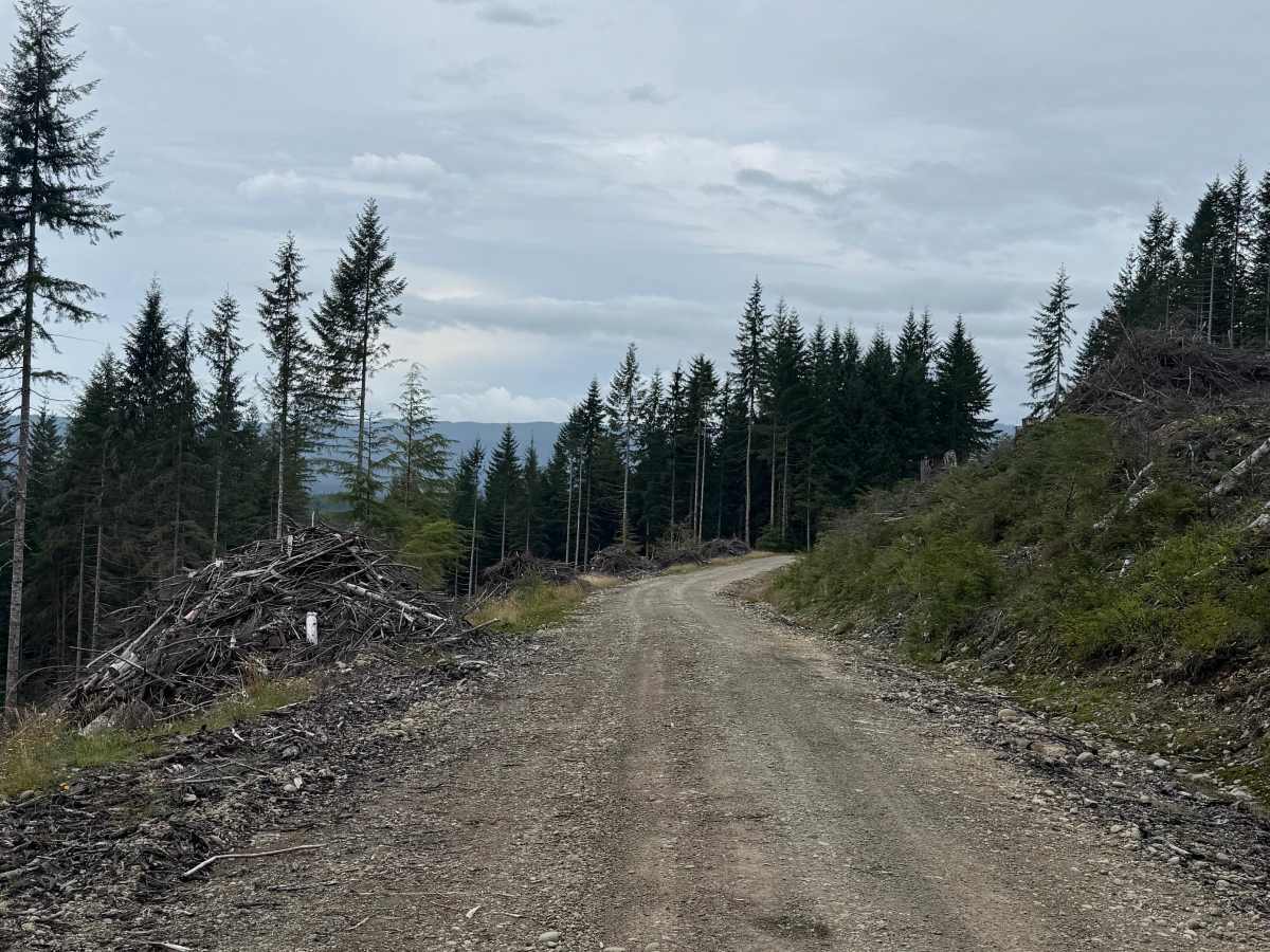 FRQ 1200 photo 5