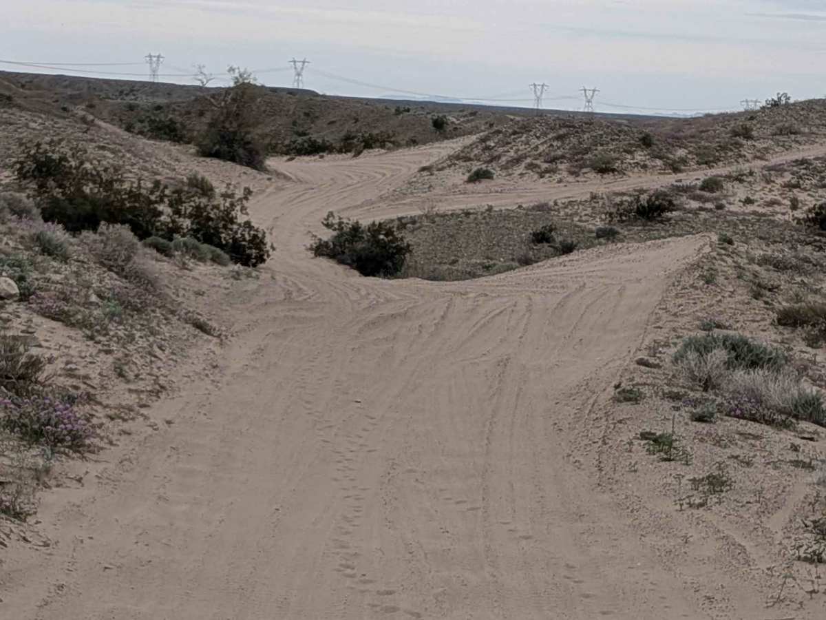 EC1220 photo 2
