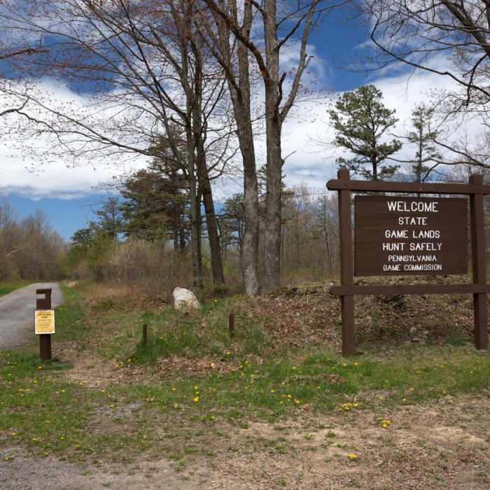 Near Tank Hollow Trail Near Tank Hollow Trail