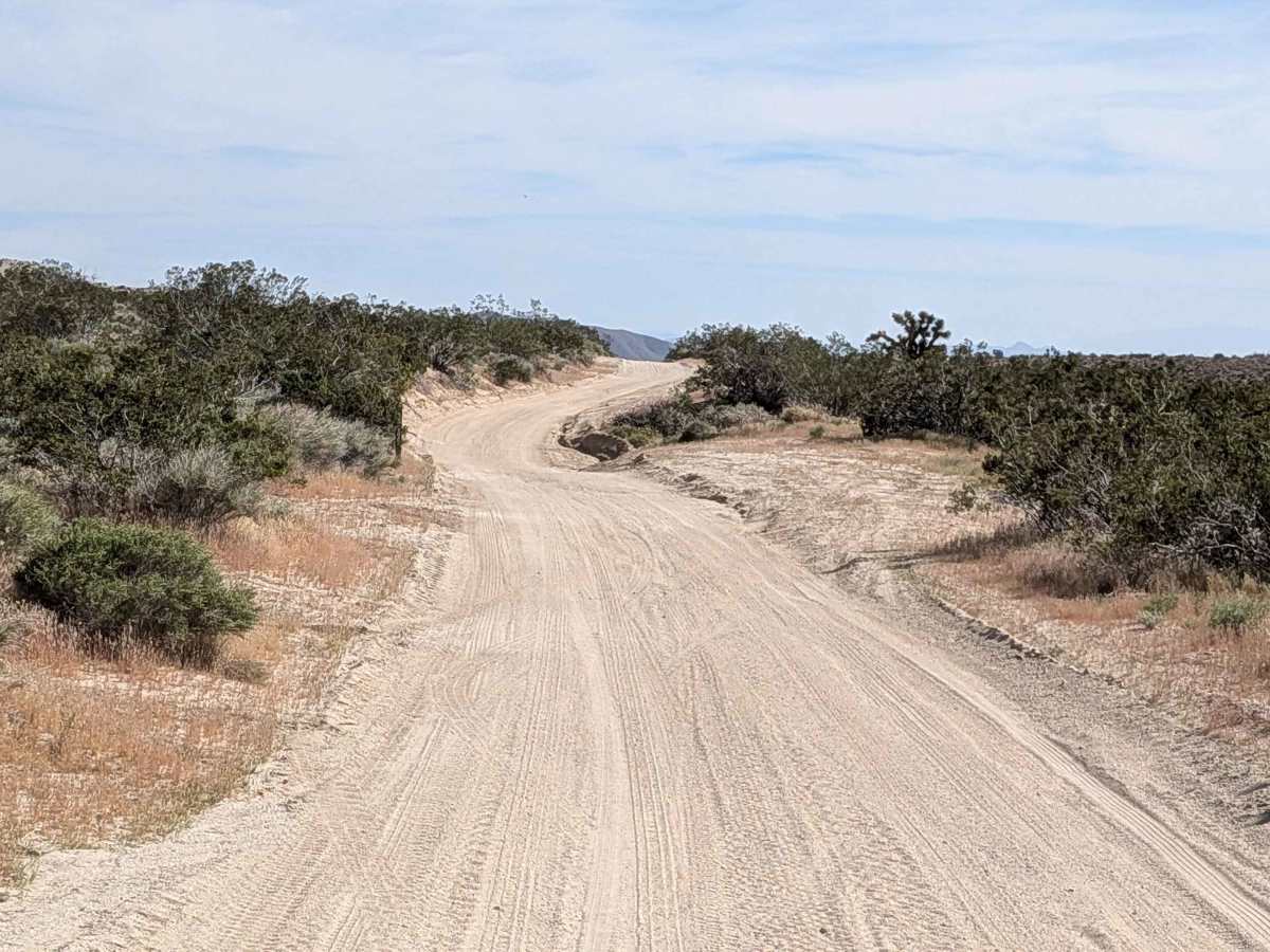 BLM SC94 photo 5