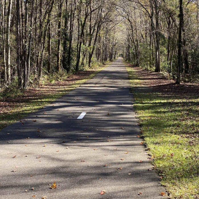 Near Jacksonville-Baldwin Rail Trail