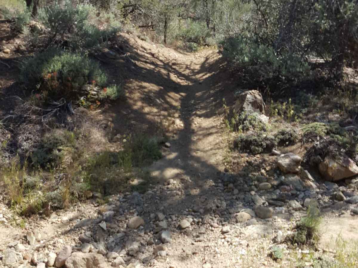 North Long Dave - FS 19W03 photo 4