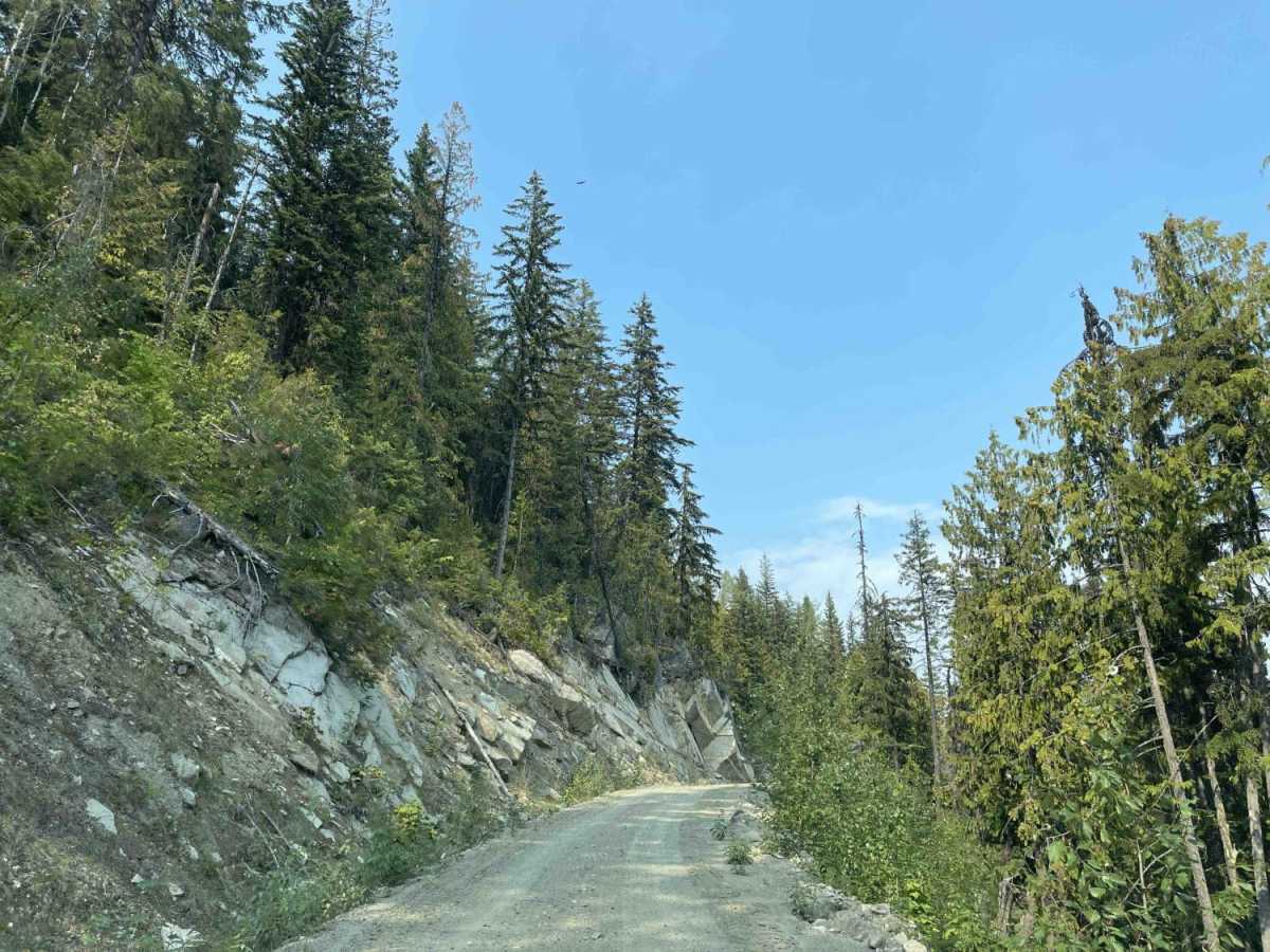 West Whatshan Road to Lookout photo 5