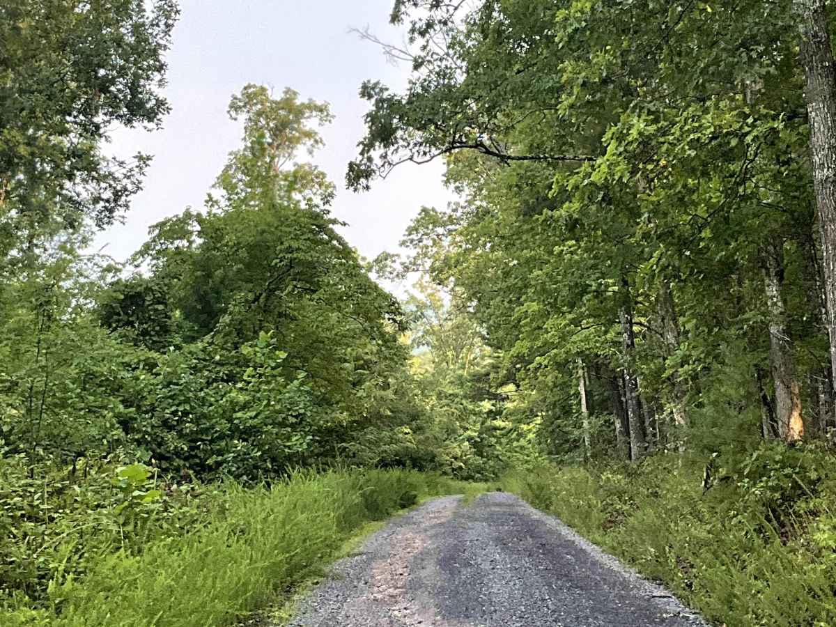 Tri County  photo 4