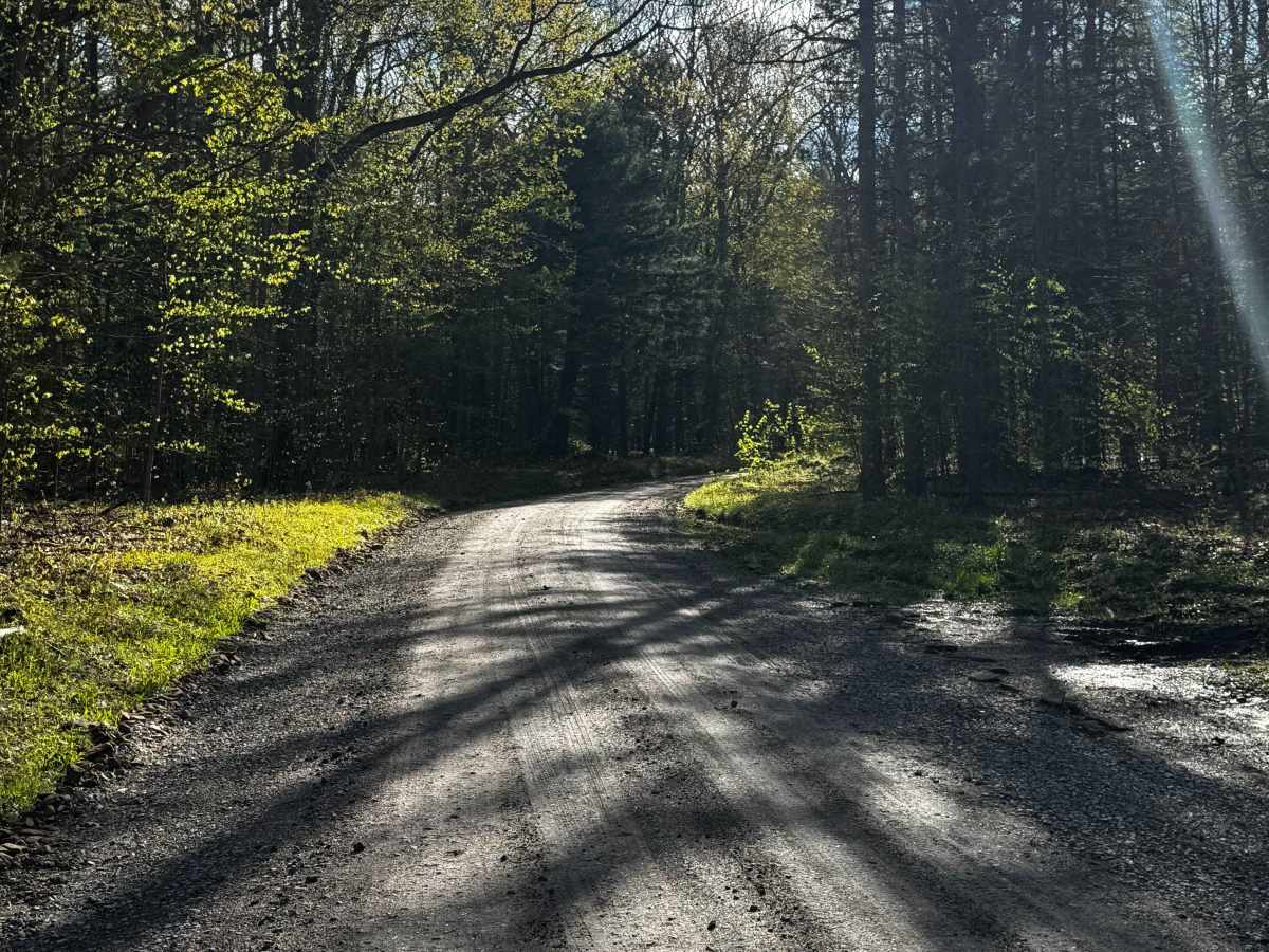 Os Long Road photo 3