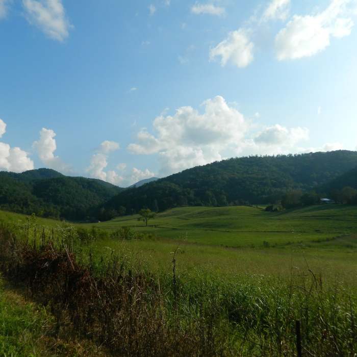 Near Townsend Historical Trail