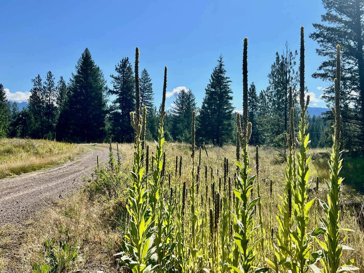 Rock Lake Road photo 4