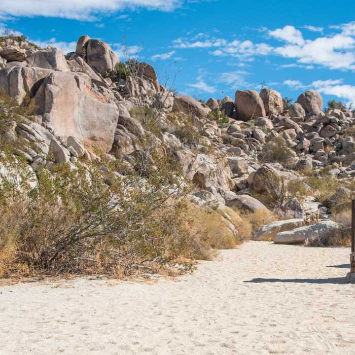 Near Pictograph Trail