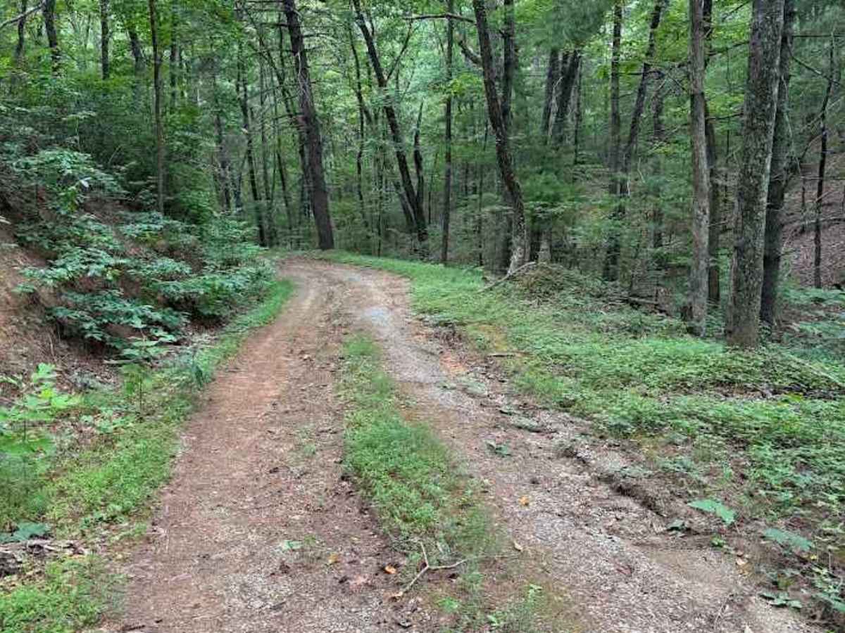 Peters Creek photo 3